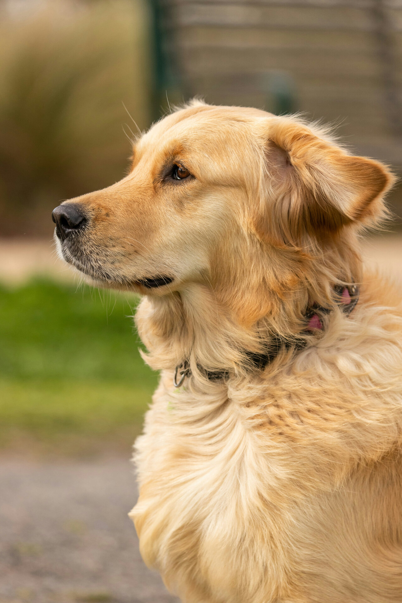 Foto: Mitchell Luo/Unsplash